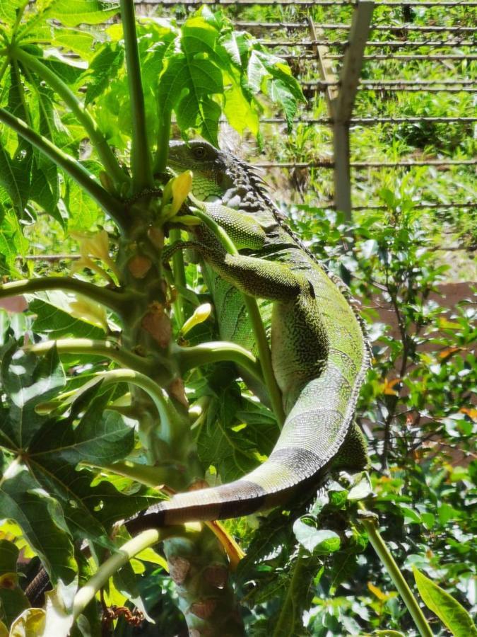 Casona Del Valle Potrerillos ภายนอก รูปภาพ