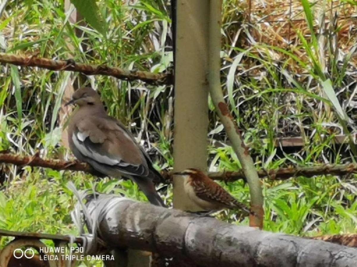 Casona Del Valle Potrerillos ภายนอก รูปภาพ