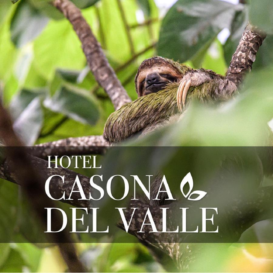 Casona Del Valle Potrerillos ภายนอก รูปภาพ